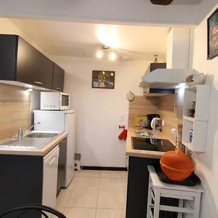 Maison De Charme Proche Super-lioran, Randonnees Et Peche, Terrasse Privee, Animaux Acceptes - Fr-1-742-181