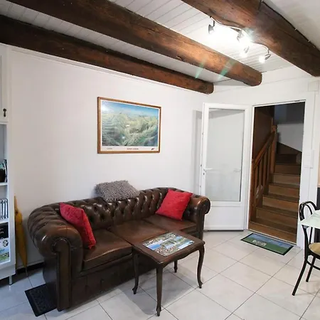 別荘 Maison De Charme Proche Super-lioran, Randonnees Et Peche, Terrasse Privee, Animaux Acceptes - Fr-1-742-181
